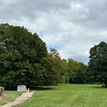 Little Park House With Car Charger