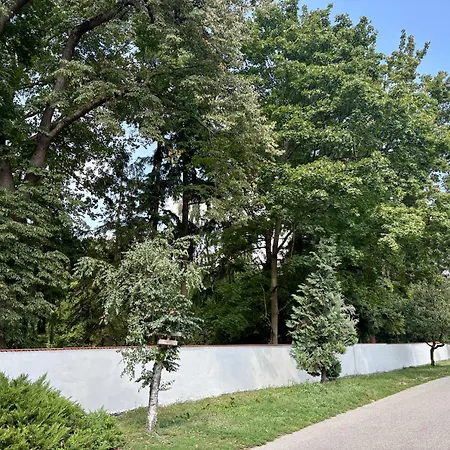 Little Park House With Car Charger Apartmán *