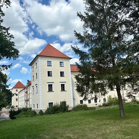 Little Park House With Car Charger