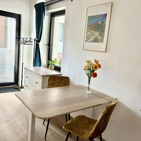 Little Park House With Car Charger *