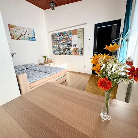 Little Park House With Car Charger *